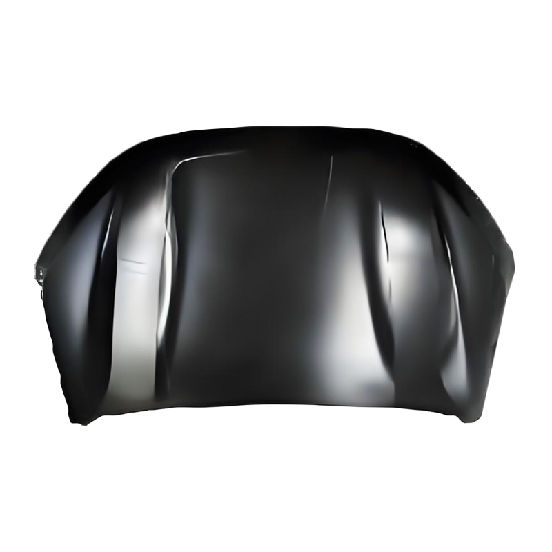 Capuz SANDERO 21
