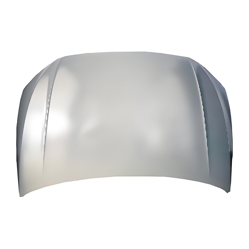 Capuz POLO 19